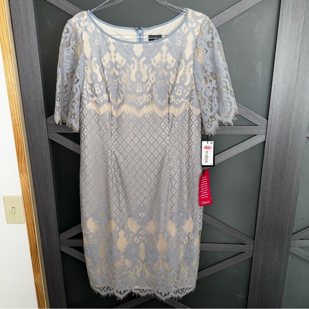 NWT  Adrianna Papell Elegant Lace Overlay Dress in Pale Blue and Cream